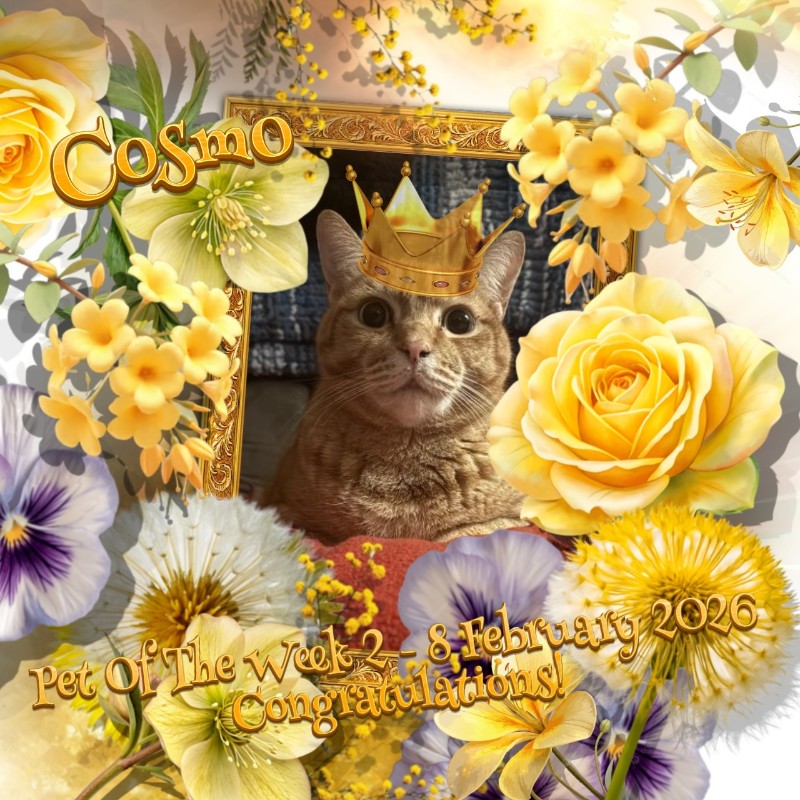 Jax uploaded   83  day/s  ago