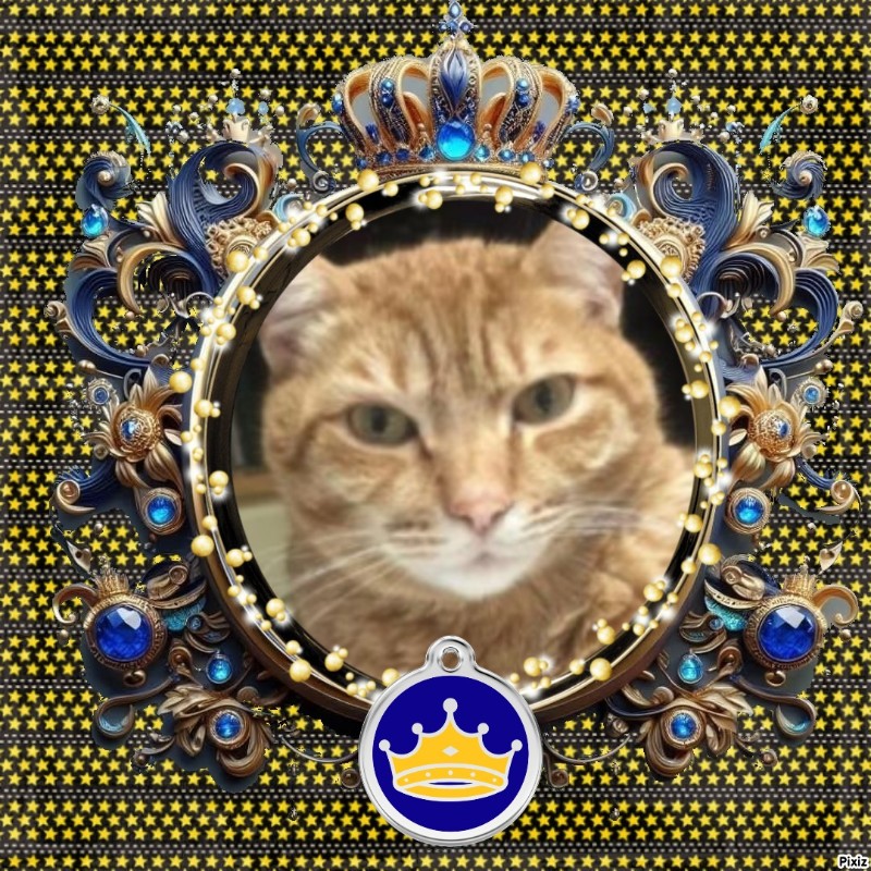 Jax uploaded   81  day/s  ago