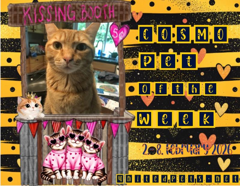 Jax uploaded   84  day/s  ago