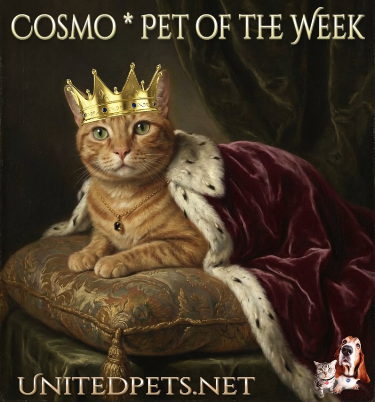 Jax uploaded   78  day/s  ago