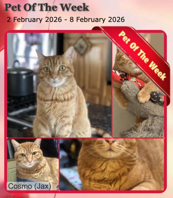 Jax uploaded   77  day/s  ago