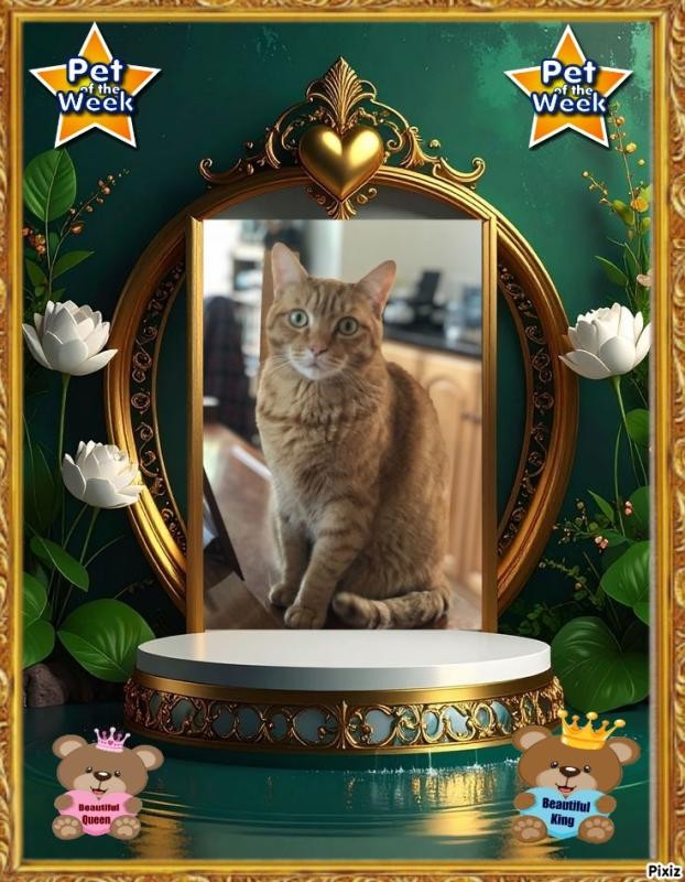 Jax uploaded   77  day/s  ago