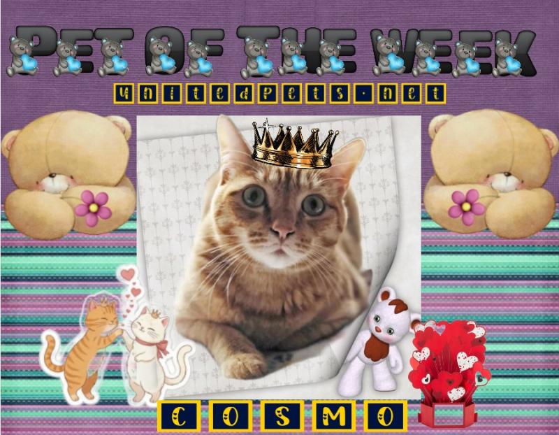 Jax uploaded   84  day/s  ago