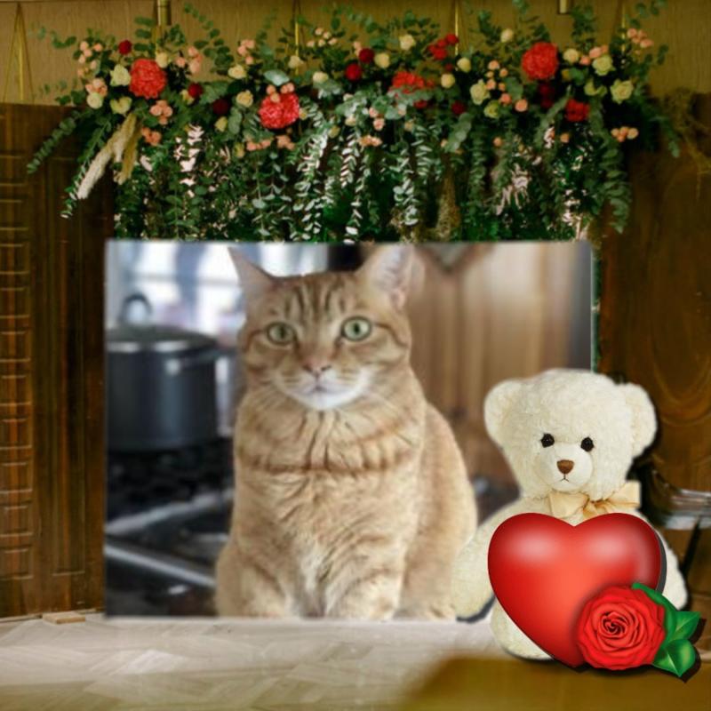 Jax uploaded   84  day/s  ago