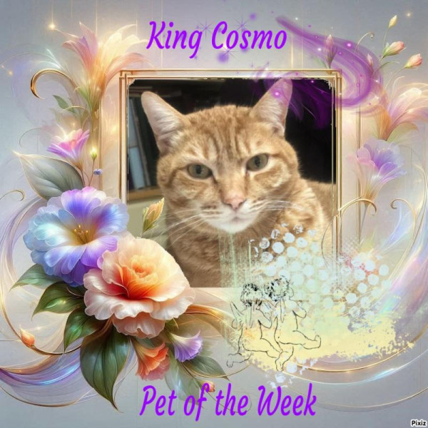 Jax uploaded   77  day/s  ago