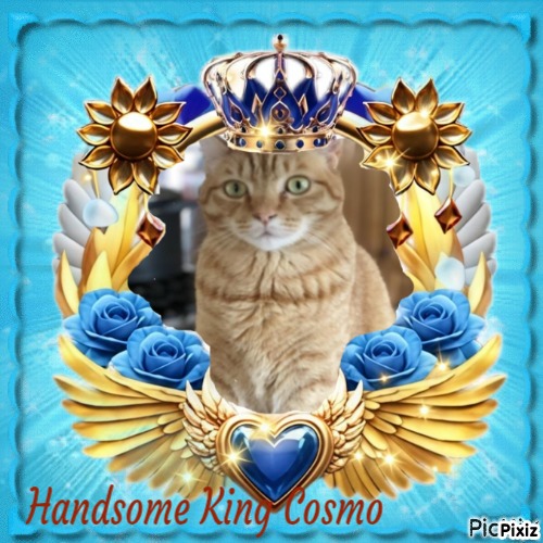 Jax uploaded   77  day/s  ago