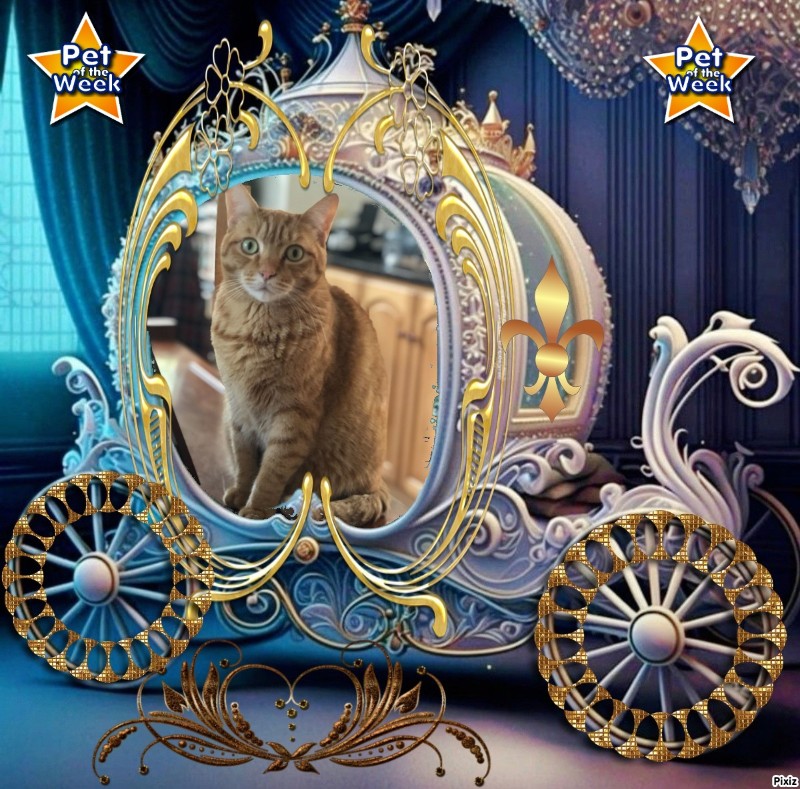 Jax uploaded   83  day/s  ago