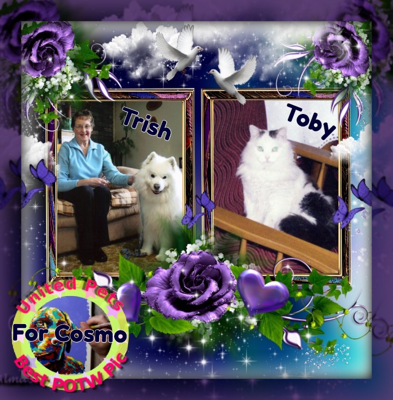 Cosmo of the Jax family