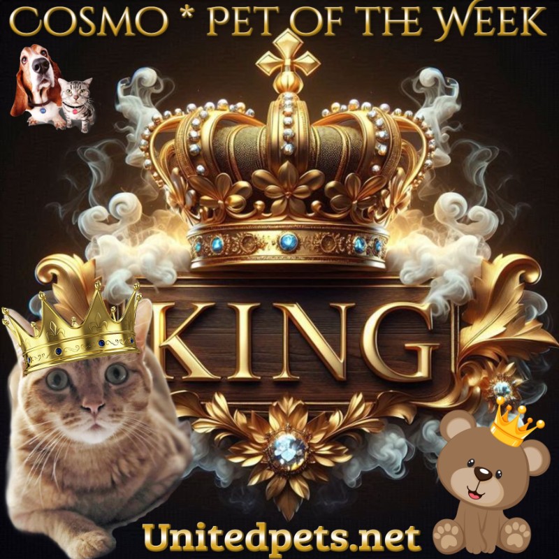 Jax uploaded   78  day/s  ago