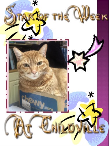 Jax uploaded   78  day/s  ago