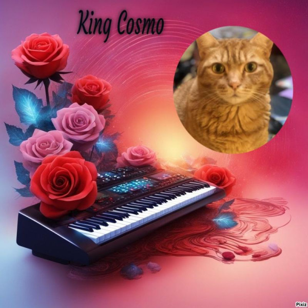 Jax uploaded   77  day/s  ago