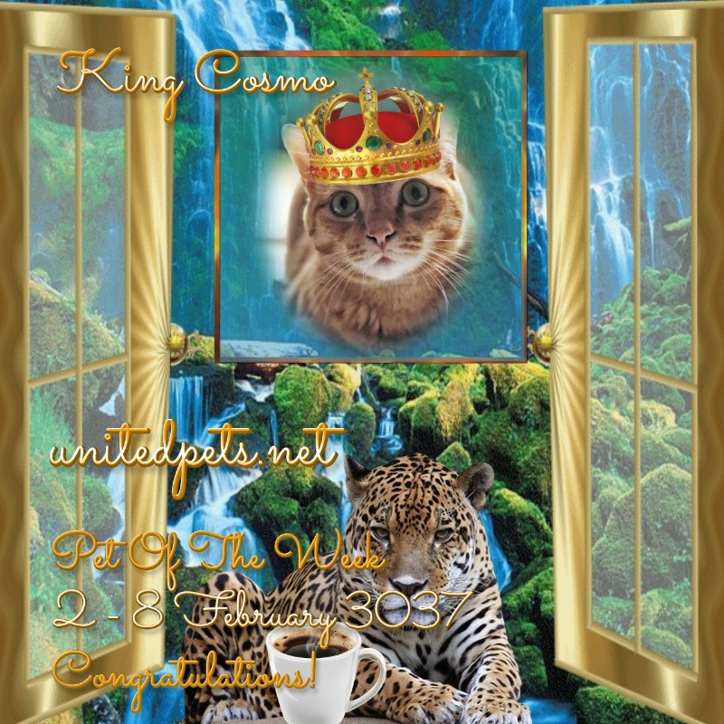 Jax uploaded   83  day/s  ago