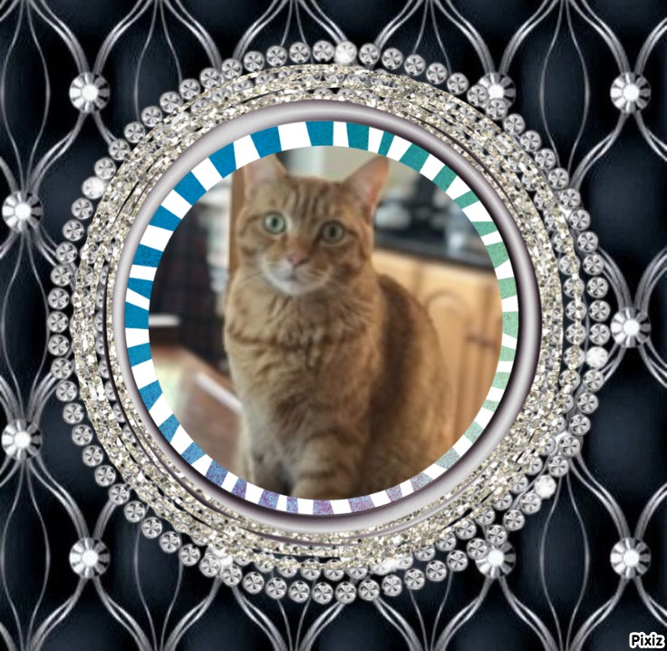 Jax uploaded   83  day/s  ago