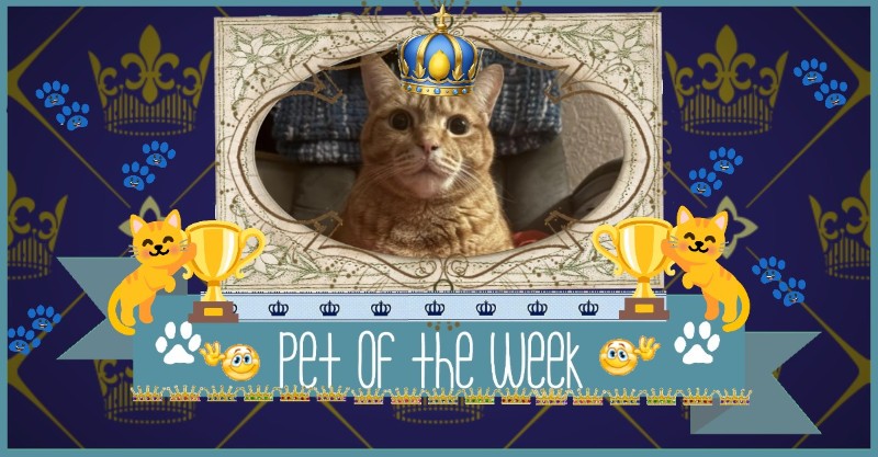 Jax uploaded   78  day/s  ago