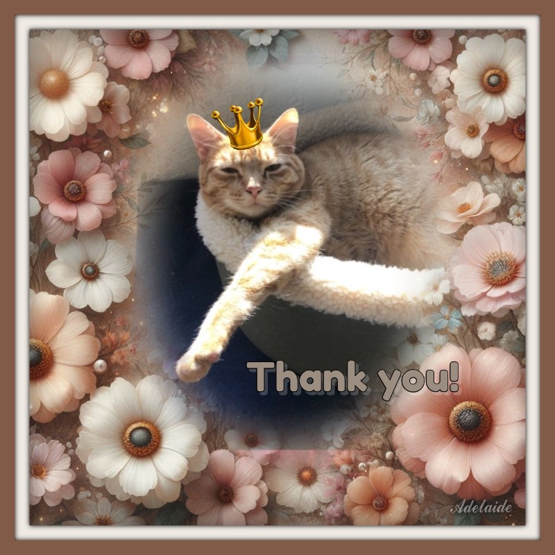 Jax uploaded   77  day/s  ago