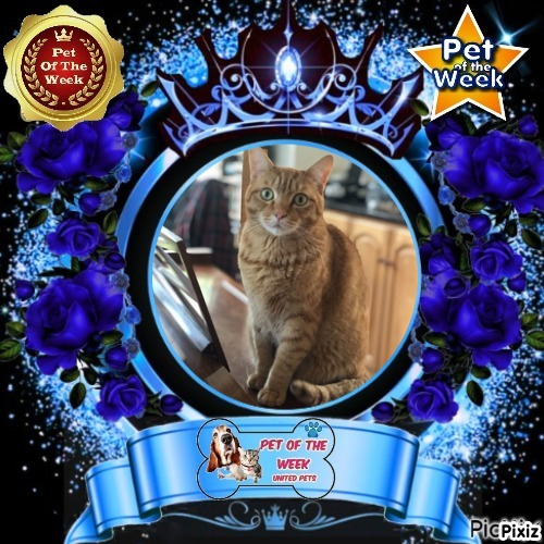 Jax uploaded   83  day/s  ago