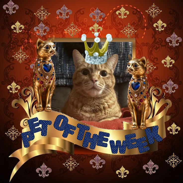 Jax uploaded   83  day/s  ago