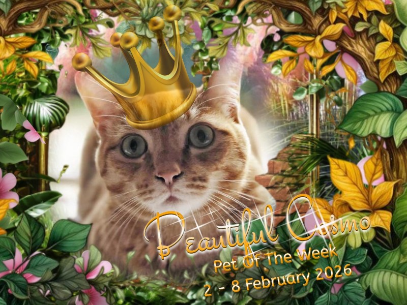 Jax uploaded   83  day/s  ago