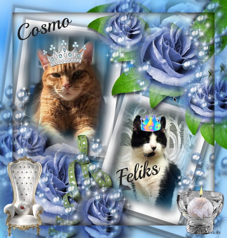 Jax uploaded   80  day/s  ago