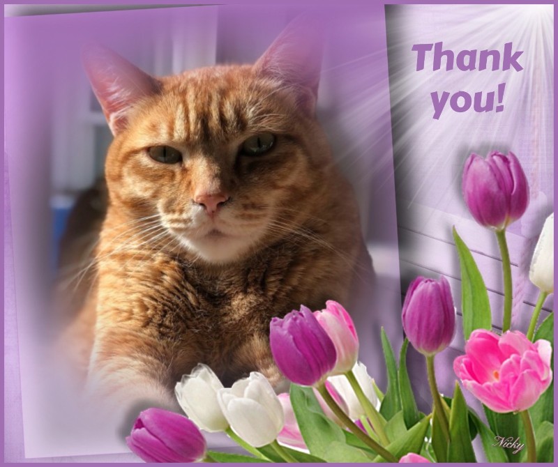 Jax uploaded   77  day/s  ago