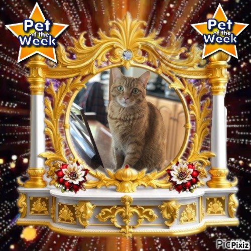 Jax uploaded   77  day/s  ago