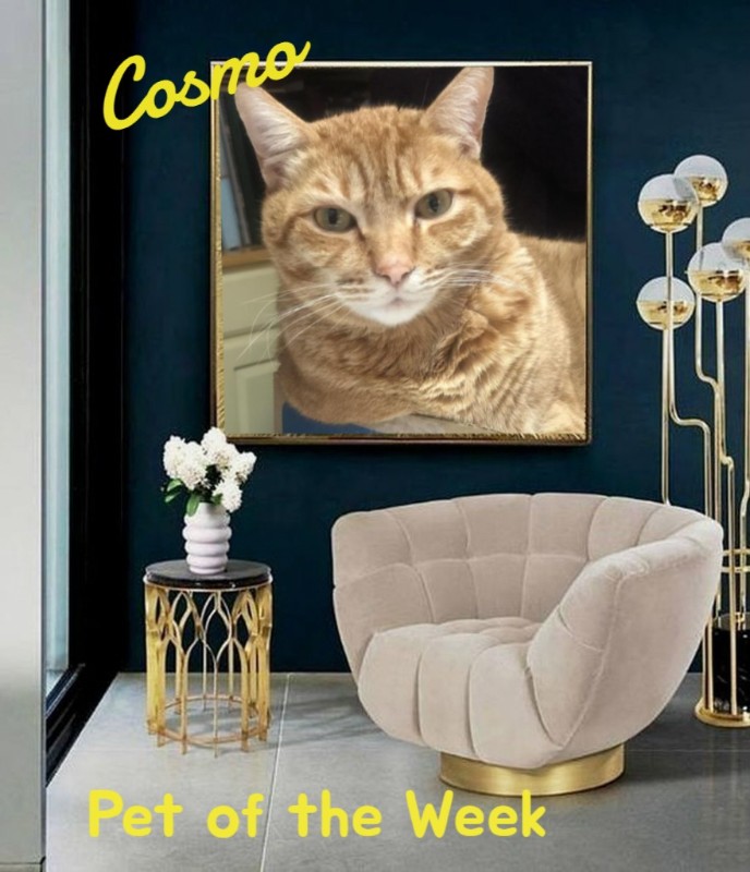 Jax uploaded   83  day/s  ago