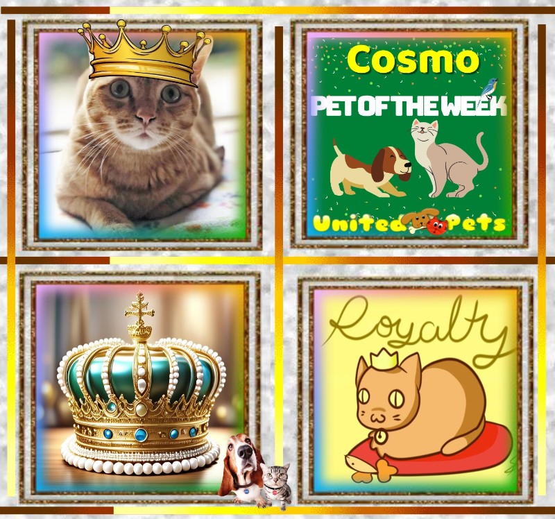 Jax uploaded   81  day/s  ago