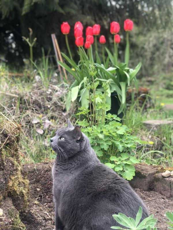 Jax uploaded   1 year/s ago