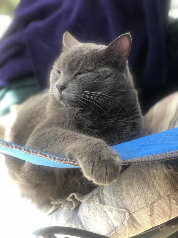 Jax uploaded   1 year/s ago