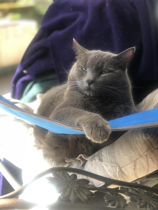 Jax uploaded   1 year/s ago