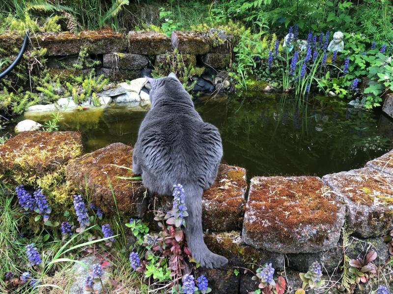 Jax uploaded   266  day/s  ago