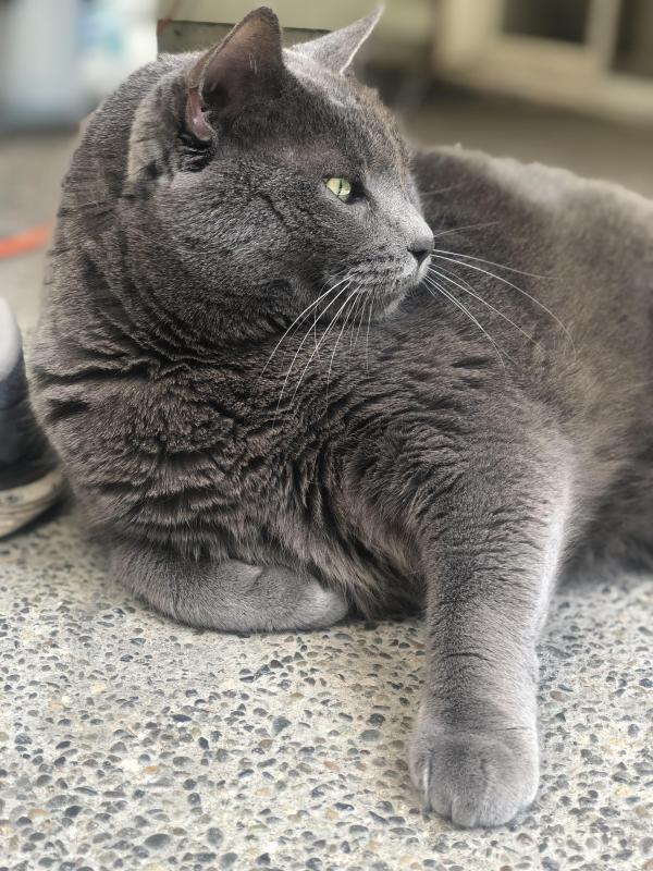 Jax uploaded   335  day/s  ago