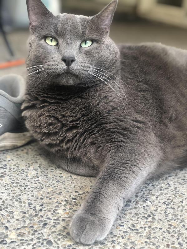 Jax uploaded   335  day/s  ago