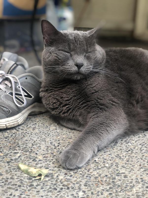 Jax uploaded   335  day/s  ago