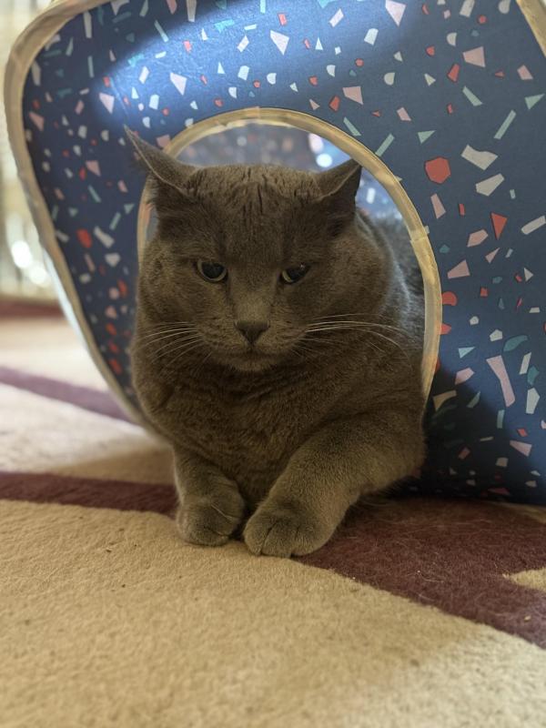 Jax uploaded   313  day/s  ago