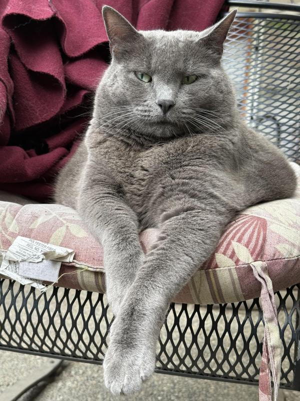 Jax uploaded   309  day/s  ago