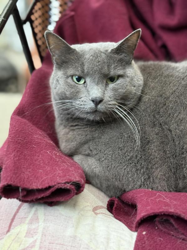 Jax uploaded   309  day/s  ago