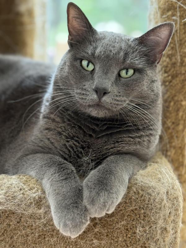 Jax uploaded   229  day/s  ago