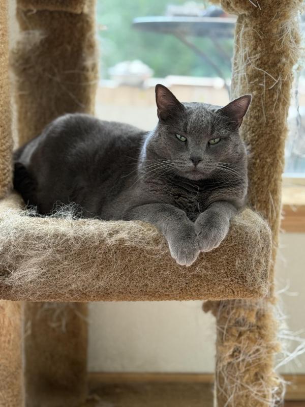 Jax uploaded   301  day/s  ago