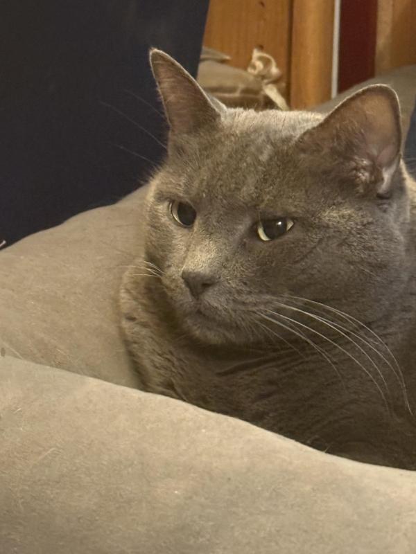 Jax uploaded   36  day/s  ago