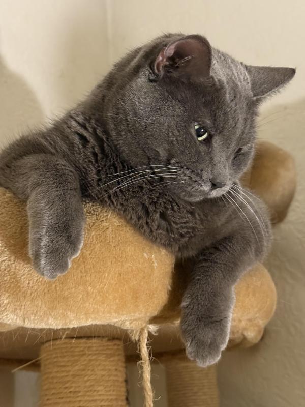 Jax uploaded   34  day/s  ago