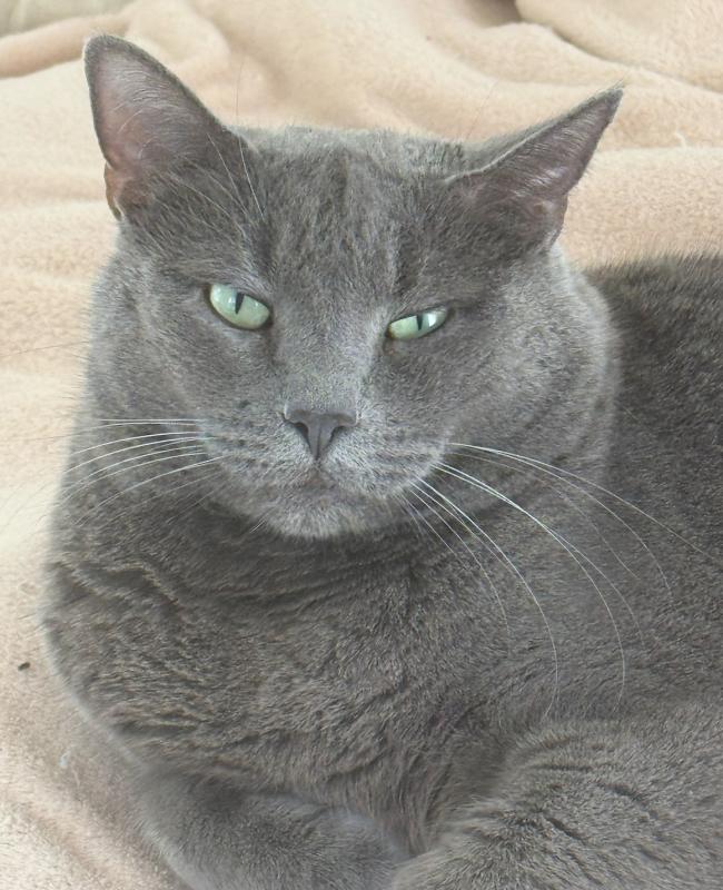 Jax uploaded   45  day/s  ago