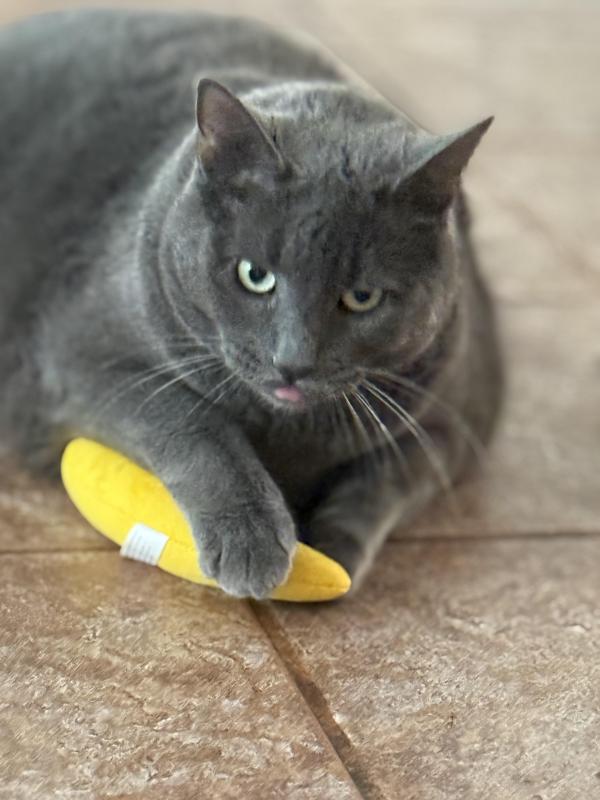 Jax uploaded   18  day/s  ago