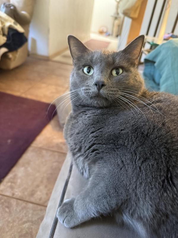 Jax uploaded   10  day/s  ago