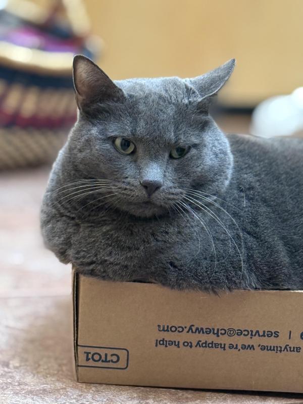 Jax uploaded   8  day/s  ago