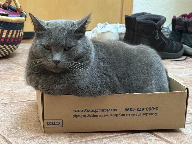 Jax uploaded   8  day/s  ago