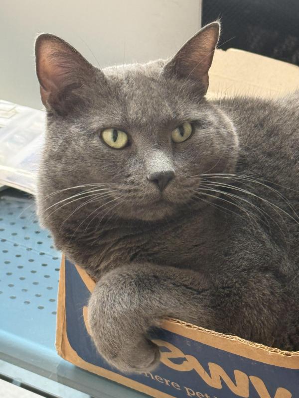 Jax uploaded   2 hour/s ago