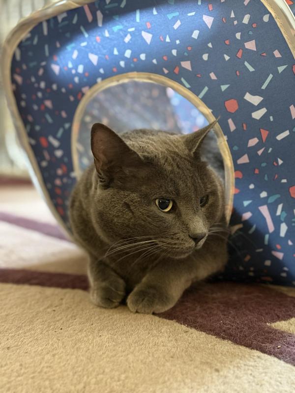 Jax uploaded   313  day/s  ago