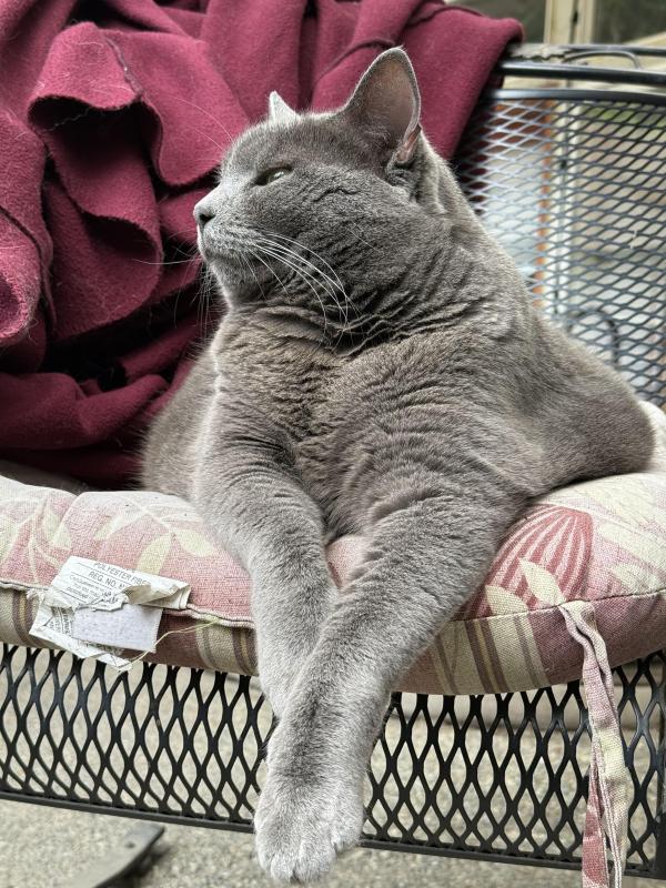 Jax uploaded   309  day/s  ago