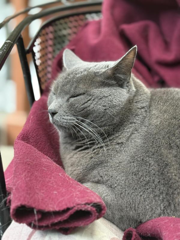 Jax uploaded   309  day/s  ago